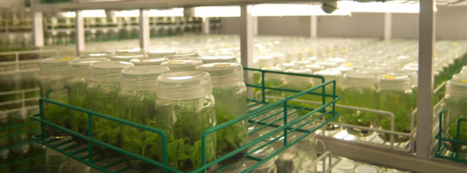 Systems Integration for Labs and Research Facilities